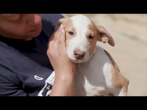 The Petco Foundation &amp; Victoria Stilwell Positively Honor Unsung Heroes With Lifesaving Grants And Heartwarming Video Series