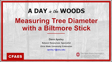 Measuring tree diameter