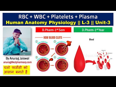 Blood Cells & Plasma || L-3 Unit-3 HAP