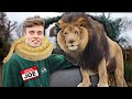 I Pretended to Work at a ZOO for 24 hours...