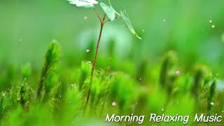 Morning Relaxing Music - Positive Feelings and Energy