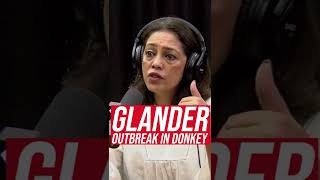 Glander Outbreak In Donkey Animal Nepal