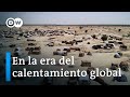 Cómo contrarrestar la crisis climática | DW Documental