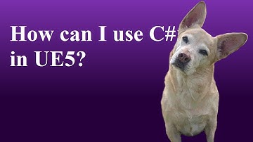 Using C# in UE5 with UnrealSharp