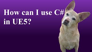Using C# in UE5 with UnrealSharp
