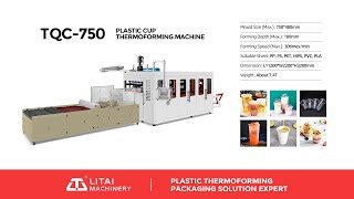 Disposable Glass Plastic Yogurt Cup And Plate Making Machine