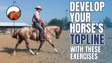 Essential Exercises for Building Your Horse’s Top Line
