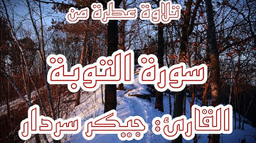 تلاوة عطرة من سورة التوبة 🌹🥀القارئ جيكر سردار 🍃🍃🌿🌿🥀🤲🤲