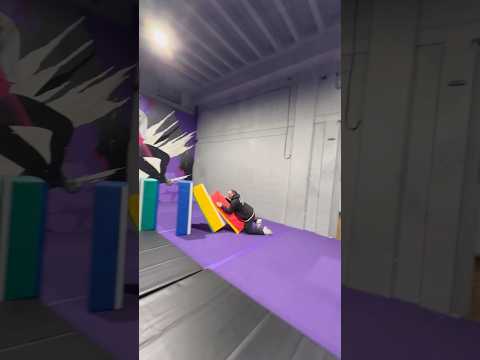 Foam box dominos #satisfying