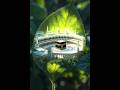Stunning Masjid al-Haram Nature Art | Heart Touching Islamic Art #makkah