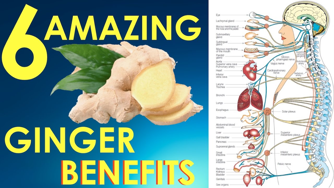 Ginger Is Good Health And Dietary Tips Dailyupdates