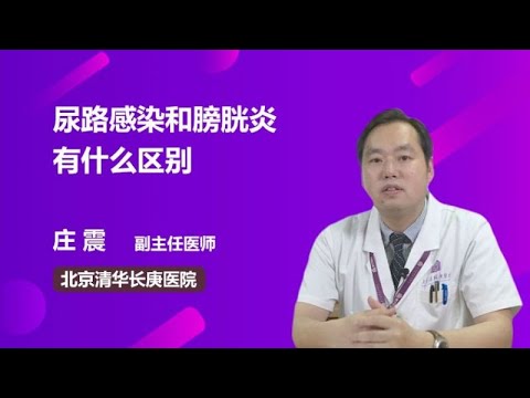 尿路感染和膀胱炎有什么区别 庄震 北京清华长庚医院