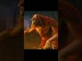 Scar Gorilla defeats King Kong.#godzillavskong #viralvideo #story #movie #fantasy
