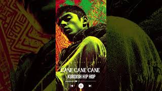 CANE CANE CANE - Kurdish Hip Hop Halay Rap Remix #trending #kurdishsong  #music #hiphop #kurdi
