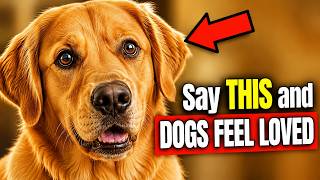 Your Dog's Body Language Proves How Much They Love You