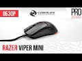 Обзор Razer Viper Mini. Правильная экономия с одним нюансом