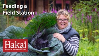 Feeding a Field Station