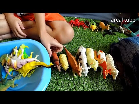Dingdong Kids Youtube Dinosaurs MAINAN ANAK BINATANG N DINOSAURUS -SAPI MAKAN RUMPUT BUAYA DING DONG MAKAN DAGING DINO MAKAN APA YA - YouTube