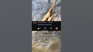 RATING HATE COMMENTS ❌❌ #shorts #therian #quadrobics #therianthropy #fypシ #rating #haters #hate