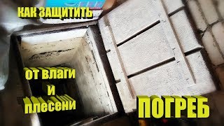 Cellar! How to protect from moisture and mold?!?! Part 2