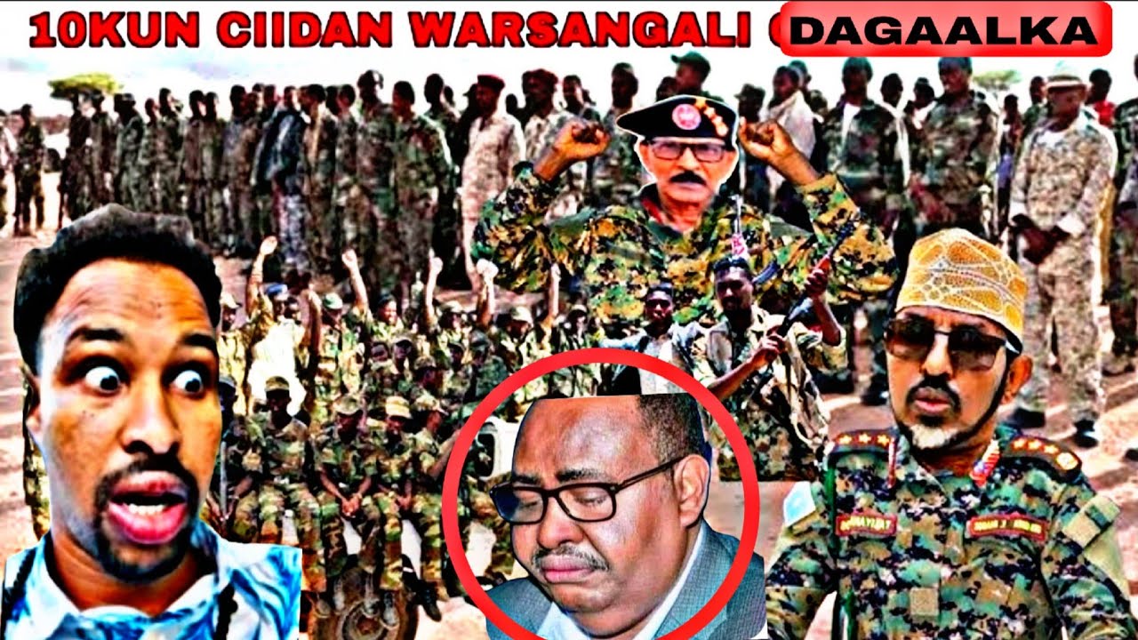 DAAWO BEESHA WARSAN GALI O 10 KUN O CIDAN AH GEYSEY JIIDAHA DAGALKA SICIID DANI O AFKA FURTEY