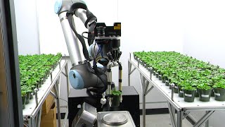 Robots helping ISU researchers work from a safe distance