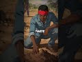 3 Men Fight With Machetes Over $800/Day Gold Mine in Ghana