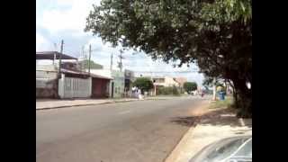 Grauzinho na rua de casa de dt 200r