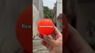 New Ball Challenge | #shorts #cricket #cricketvideo #gullycricket