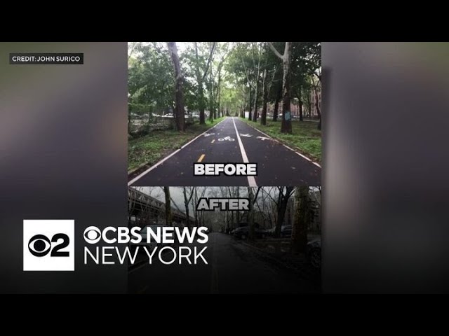 Parked Cars Take Over A Greenway In Queensbridge