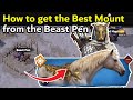 How to get Better Mount from Beast Pen || Viking Rise Beast Pen Tips