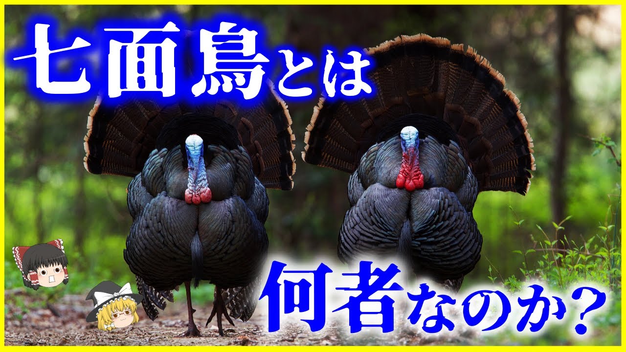 ゆっくり解説】何故クリスマスに七面鳥？「七面鳥」とは何者なのか？を