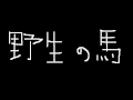 野生の馬