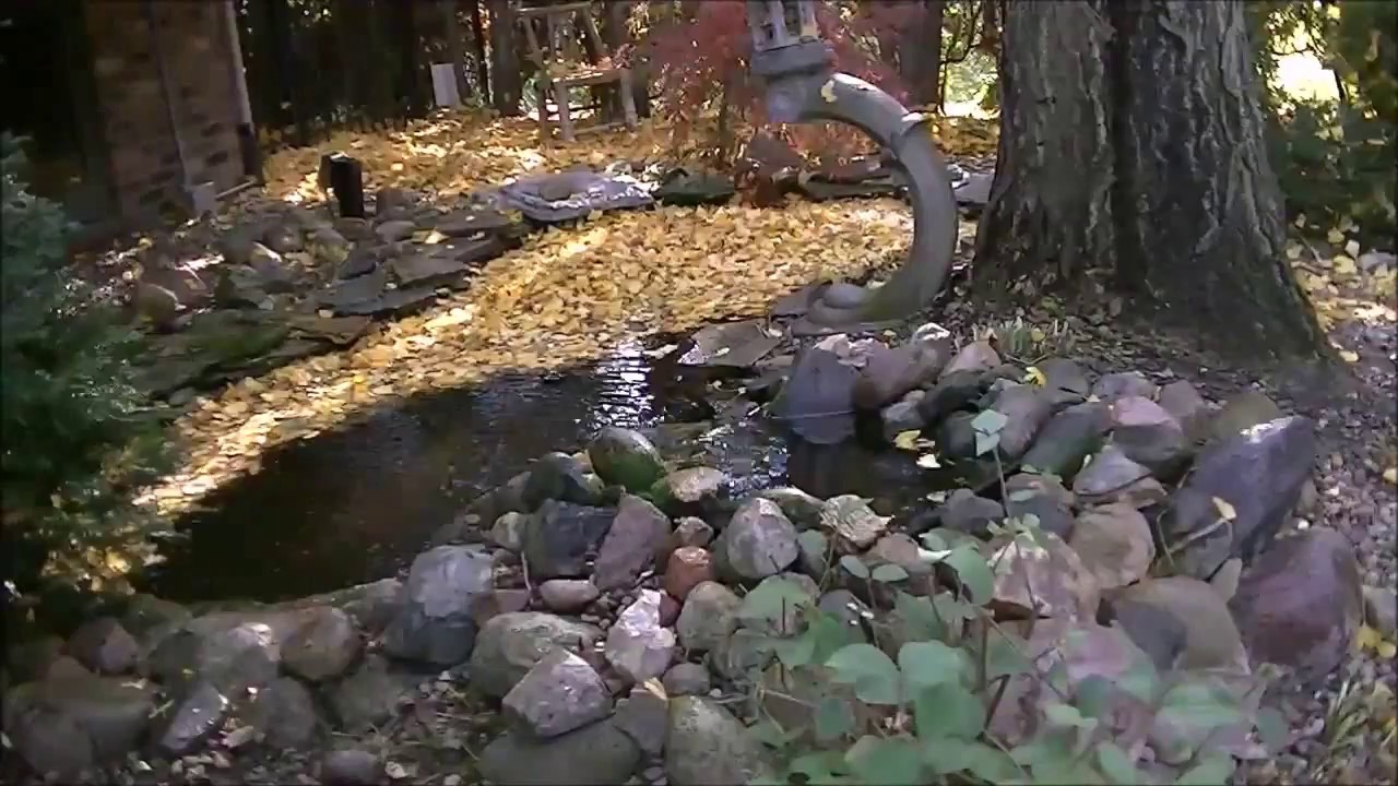 Fall pond cleaning. YouTube