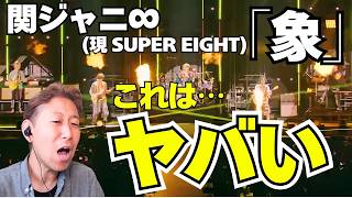 [SUPER EIGHT] "Zou" is a masterpiece!!!!! #SUPER EIGHT in Nippon Budokan