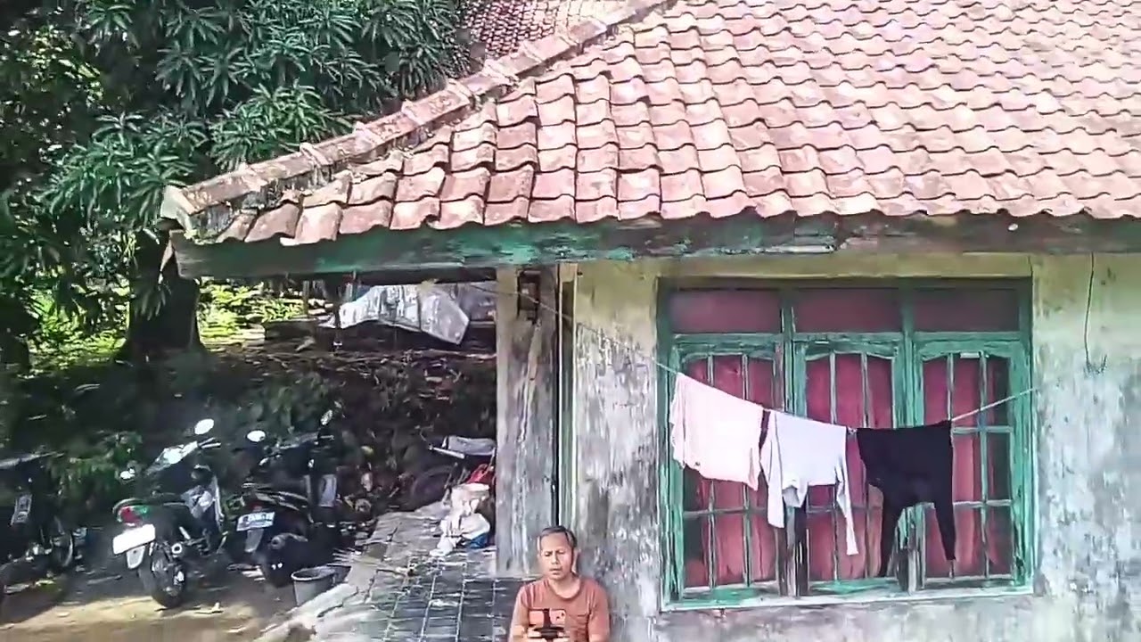 Ngedron pasawahan anu hejo