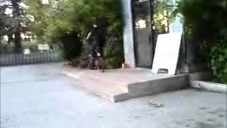bike edit (2011)