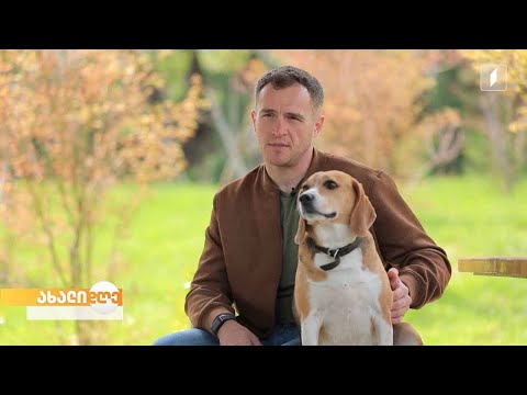 „აკის პარკი“ ნიკას ისტორიებსა და საქართველოში პირველ ოფიციალურად დასაქმებულ ძაღლს, ბიგლუს გაგაცნობთ