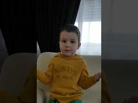 Видео graiul animalelor