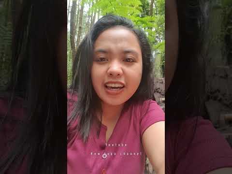 Enjoy The Natural Atmosphere 