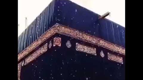 تلاوة خاشعة من القارئ ماهر المعيقلي " إن الله وملائكته يصلون على النبي" ❤️