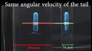 Stokesian swimming of a helical robot in cylinderical tubes