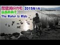 琵琶湖のカモ 2015年1月 白鳥英美子 The Water is Wide