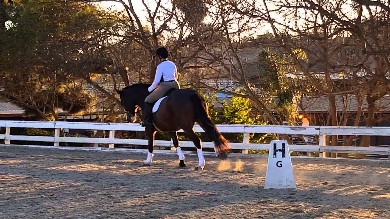 My boy's beautiful lesson today!