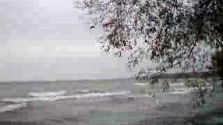 Buddy swimmimg in Lake Simcoe