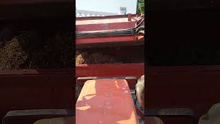 Loading the muck spreader