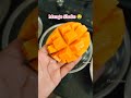 Mango shake 🤤 #shorts #mangoshake #mango #food #mangoshakerecipe #shake #foodie #viralvideo #aamras