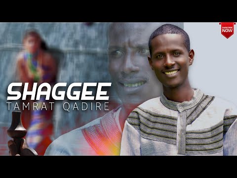 Tamrat Qadire Shaggee New Ethiopian Afaan Oromo Cover Song