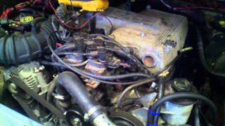 it's ALIVE!!!!.3gp