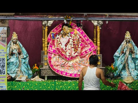 मेरो प्यारों बरसाना लाइव भजन | Radha Rani Mandir Sandhya Darshan Barsana Live #darshan 